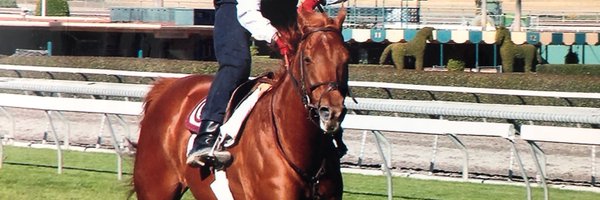 Racingwithbruno Profile Banner