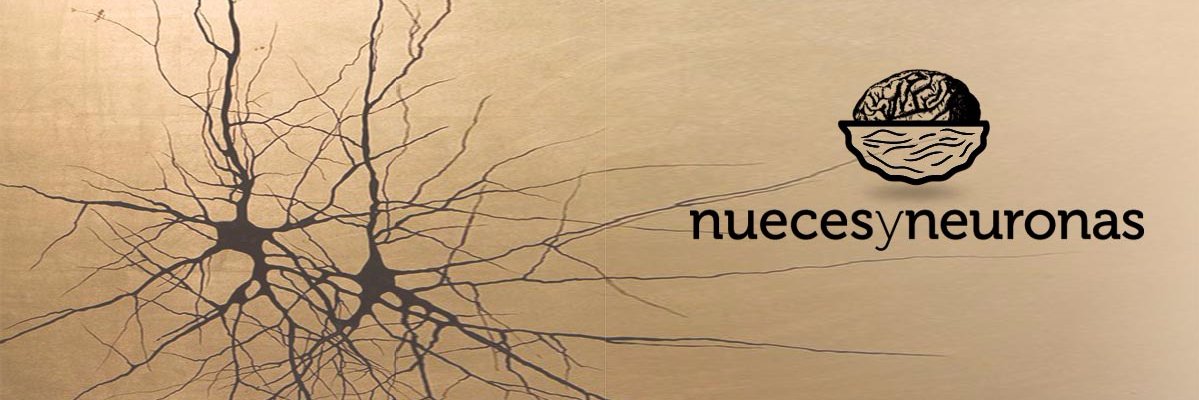 nuecesyneuronas's profile banner image
