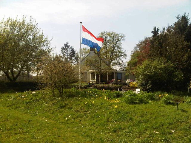 Marjon Antoons banner