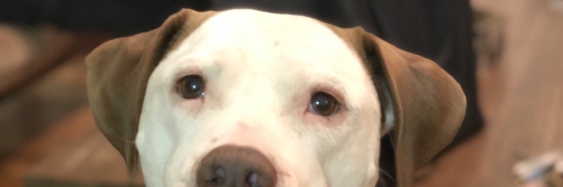benthinksthat's profile banner image