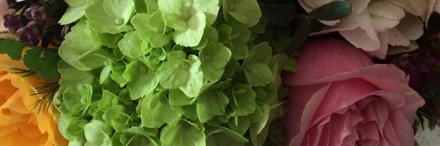 ashnickerson84's profile banner image