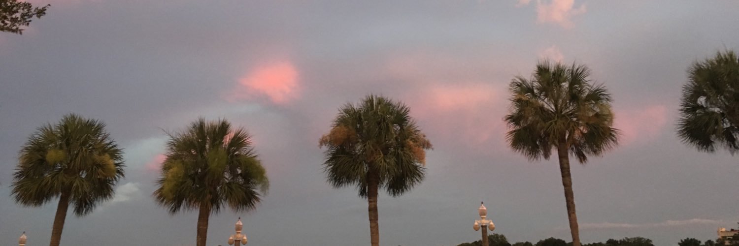 amandanblount's profile banner image