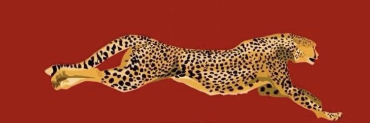 iirem_d's profile banner image