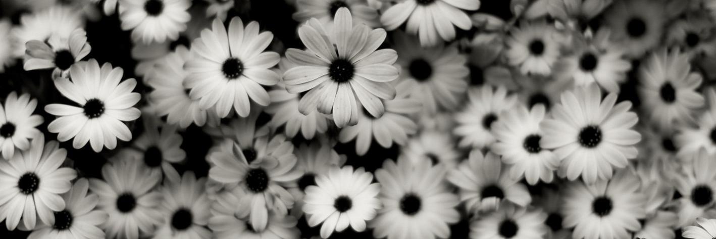_ewaney's profile banner image
