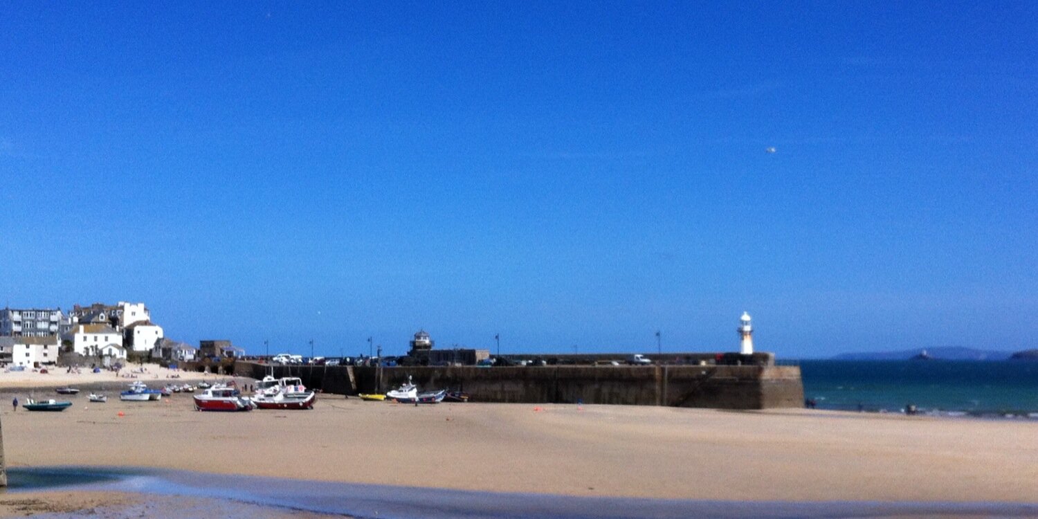 Dominique Bray banner