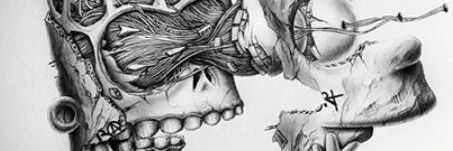 AzizRealTraore's profile banner image