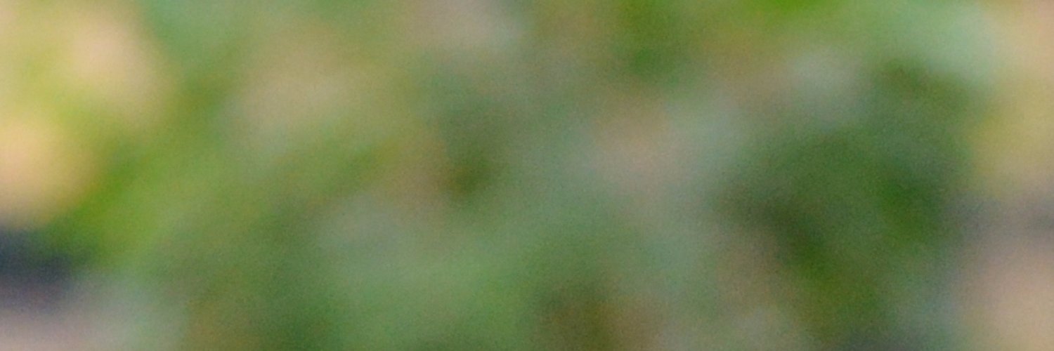 abremges's profile banner image