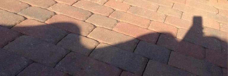 Lexonopoulos's profile banner image