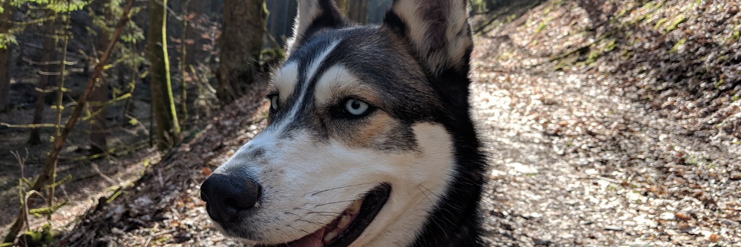 mickf68's profile banner image