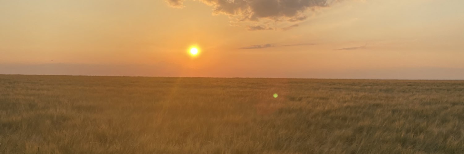 synicaldfde342's profile banner image
