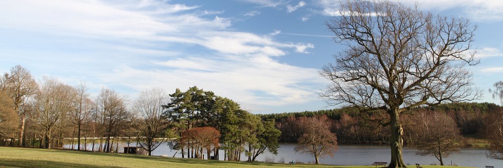 crawleylife's profile banner image