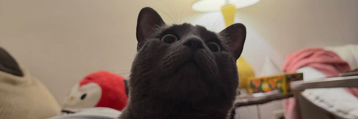 oscpeastry's profile banner image