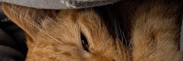 UncleScott67 Profile Banner