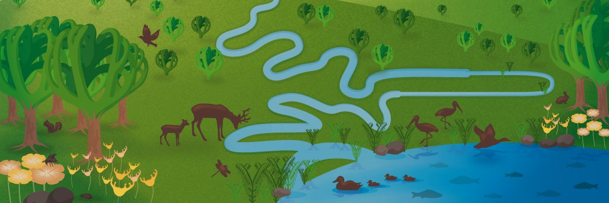 Nature Reviews Nephrology banner