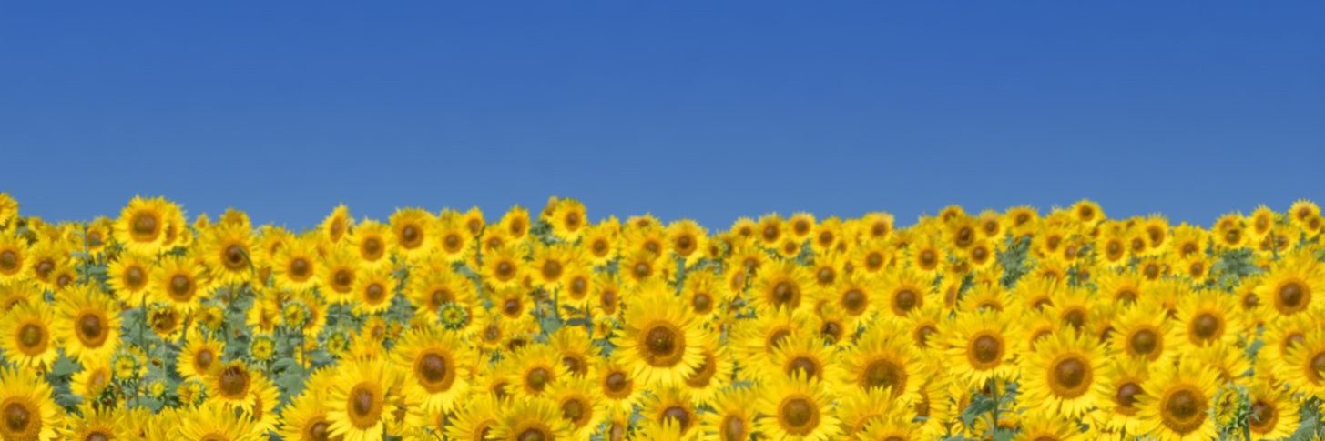 Natasch1303's profile banner image