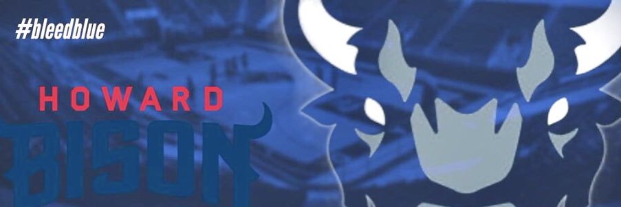 Bison4Life banner