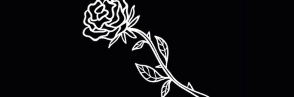MMoeller5's profile banner image