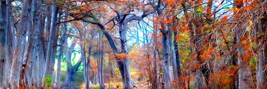 proffstunt's profile banner image