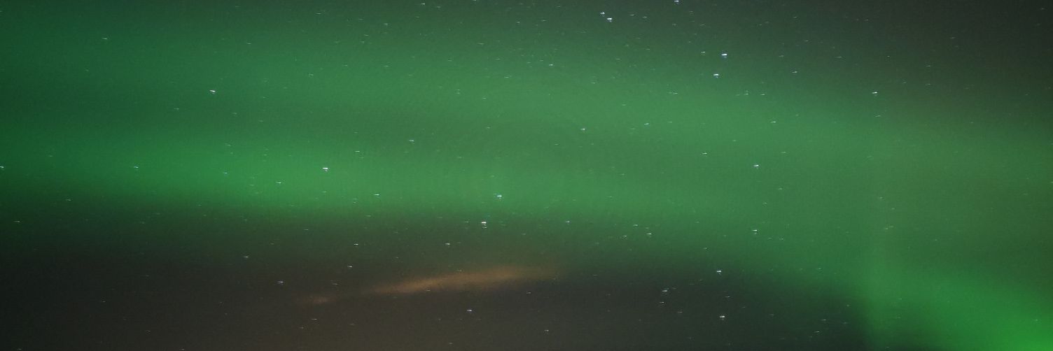 nadiusis's profile banner image