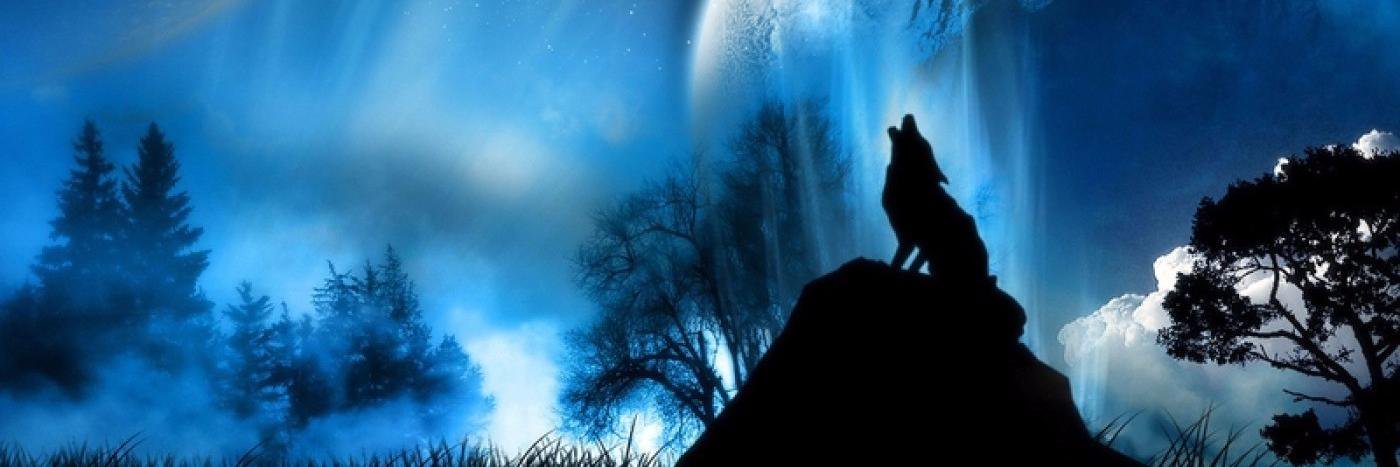 AlphaWhiteFang's profile banner image