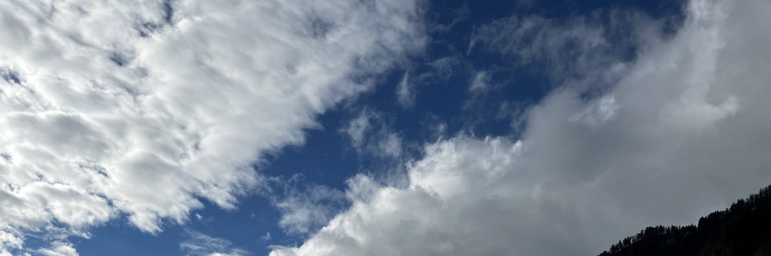 Agajan Torayev banner