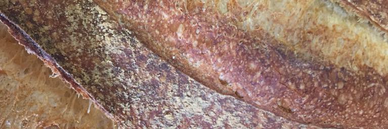 mkbread's profile banner image