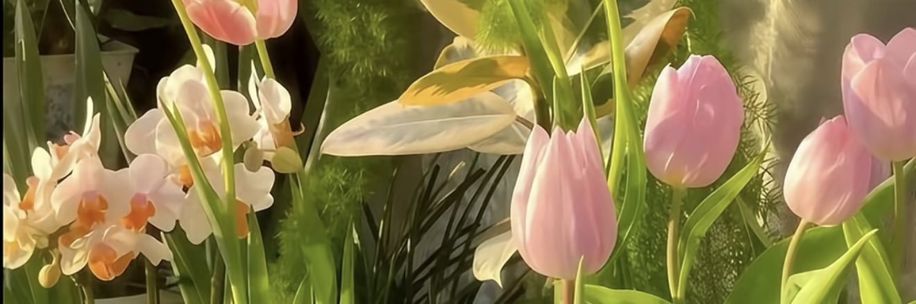 fatem_17's profile banner image