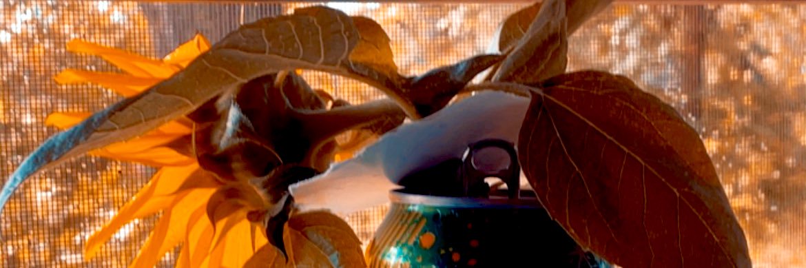 crosscatmom's profile banner image
