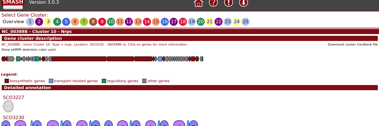 antismash-dev banner