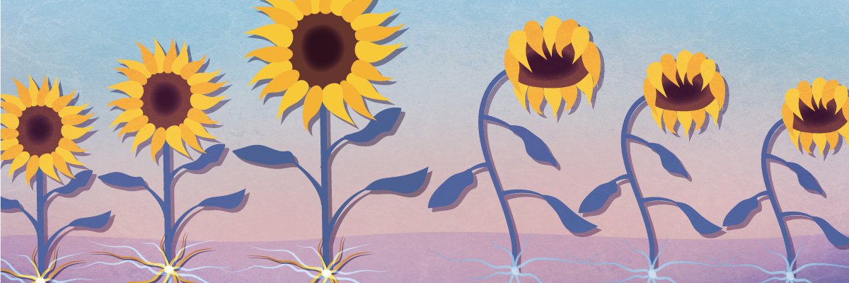 Nat Rev Neurology's banner