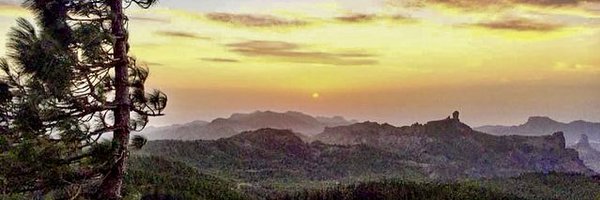 Simon_Treasure Profile Banner