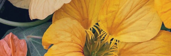 Wedad__86's profile banner image