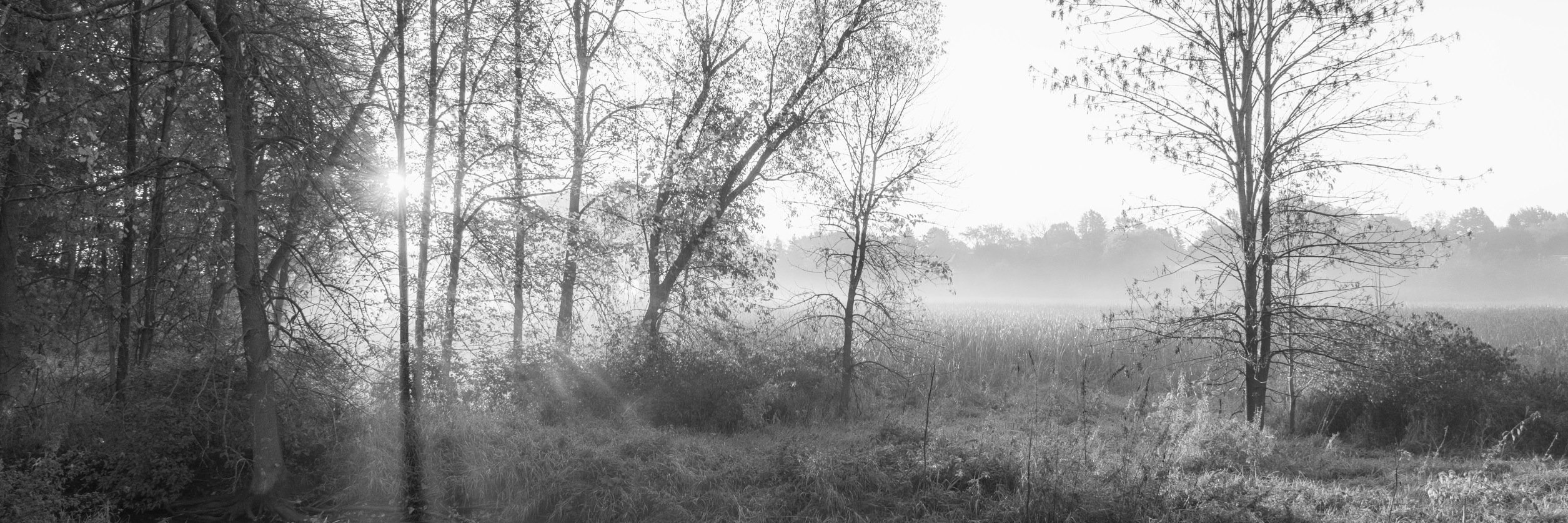 MarkJGPhoto's profile banner image