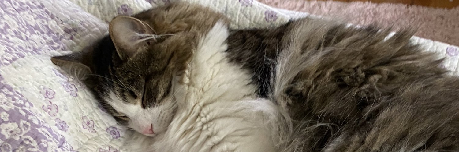 𝓲𝓻𝓲𝓷𝓲 ⸆⸉ banner