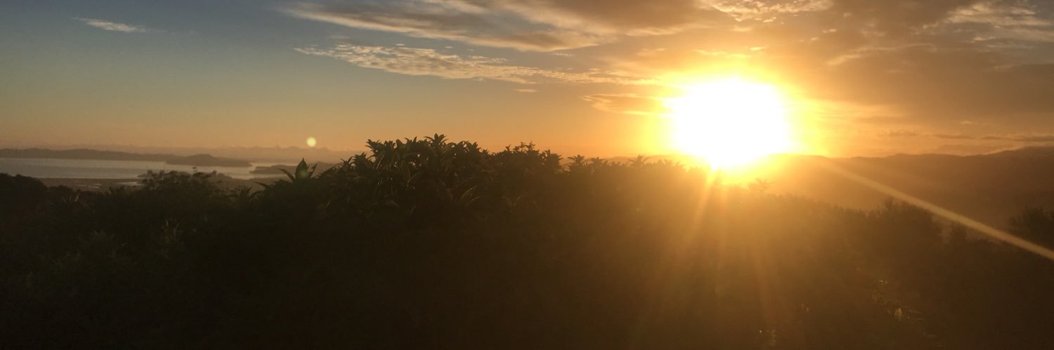 TheRealHaylez's profile banner image