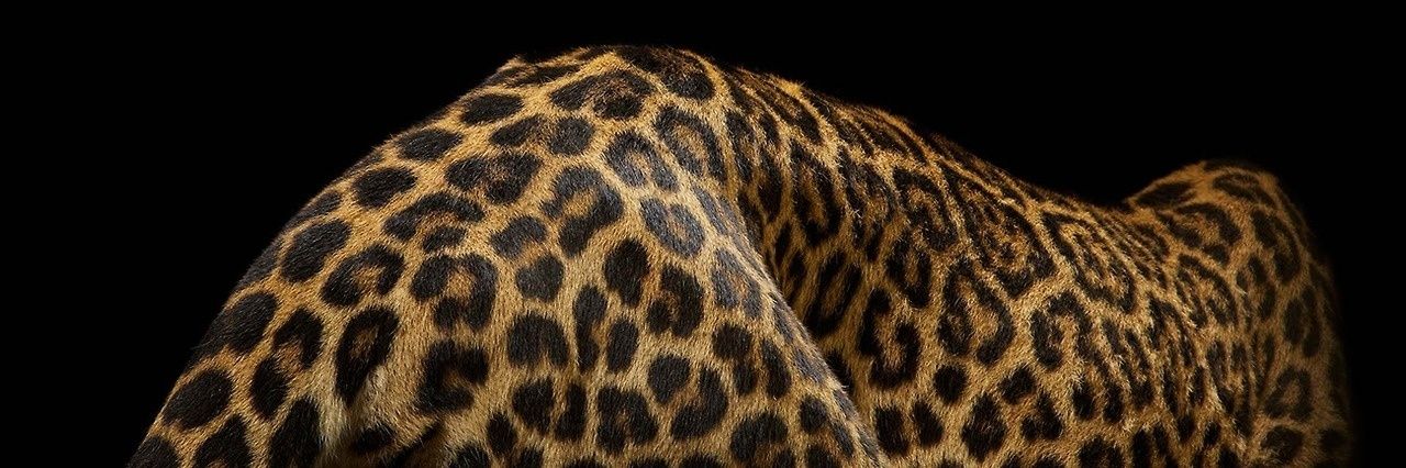 KVZR_'s profile banner image