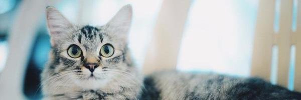 nadiaaaaaaah's profile banner image