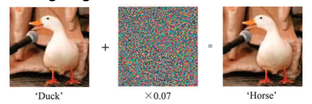 martin palazzo banner