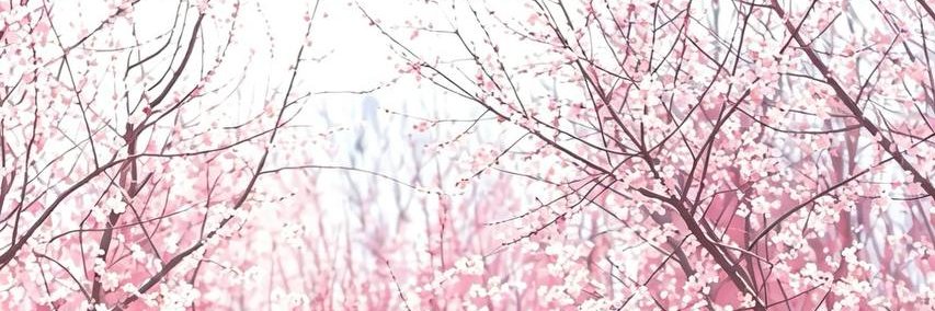 ClevelcsCanom's profile banner image