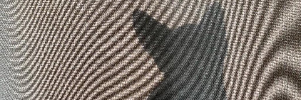 noah_an_K's profile banner image
