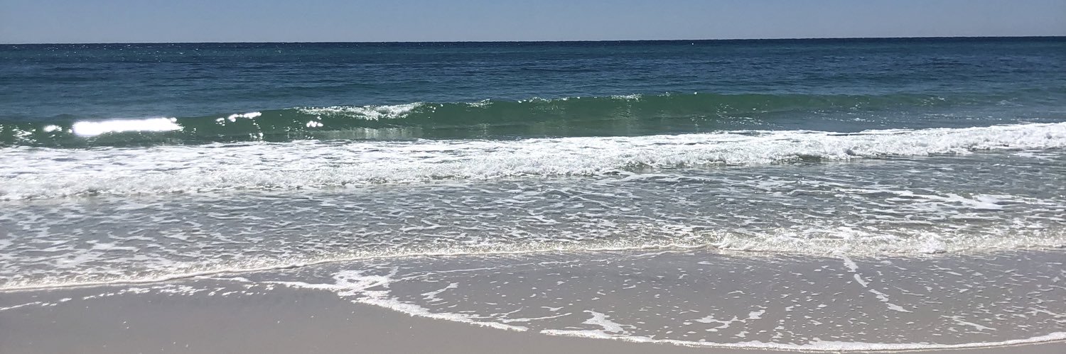 megdscott's profile banner image
