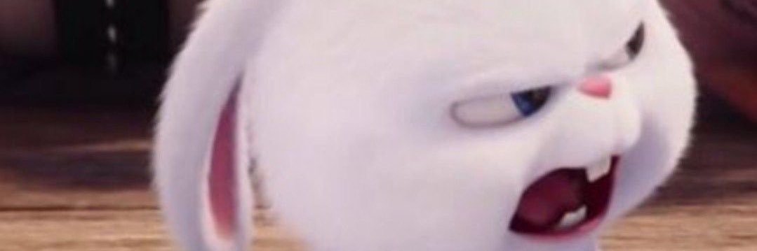malmintta's profile banner image