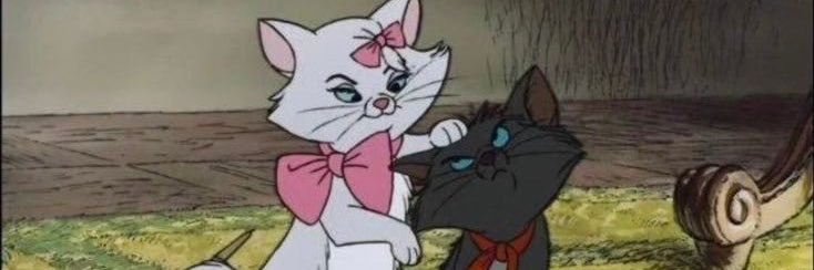 wallifyt_'s profile banner image