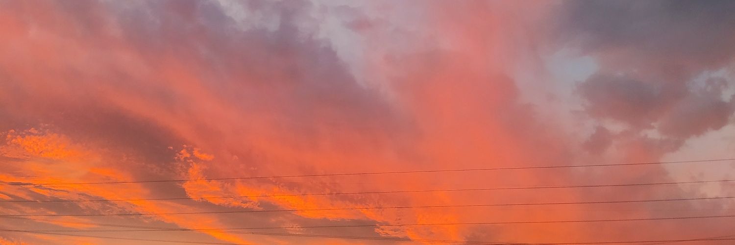 Robermartii's profile banner image