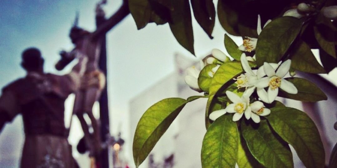 ManuRomro's profile banner image