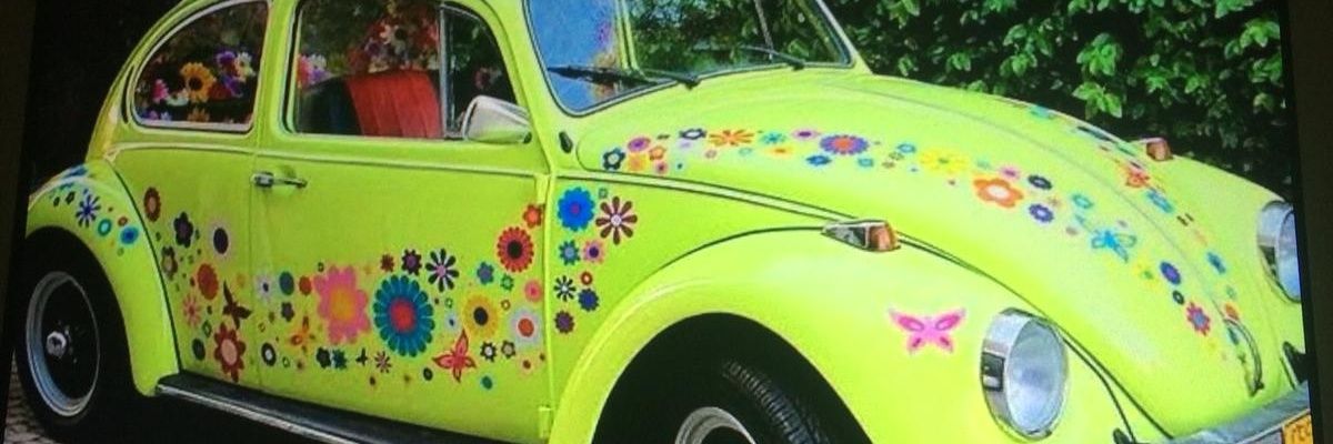SeldaBekarr's profile banner image