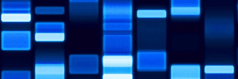 Ronin777's profile banner image