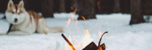 adelinafigler's profile banner image