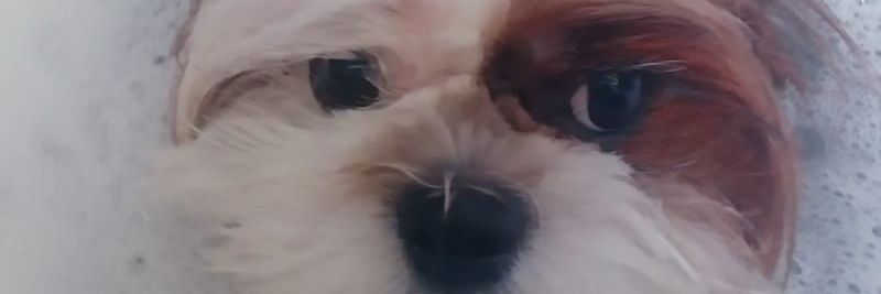 campal42's profile banner image