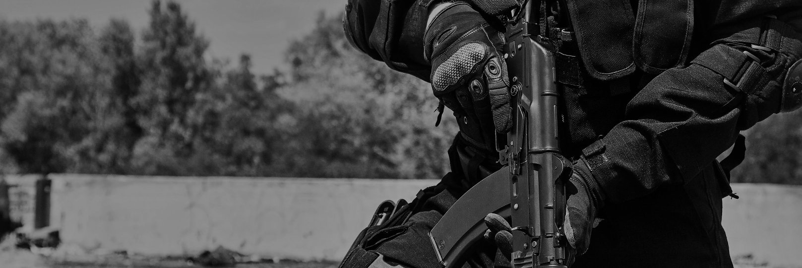 ALPHA D/6 🇺🇸🇬🇧 banner